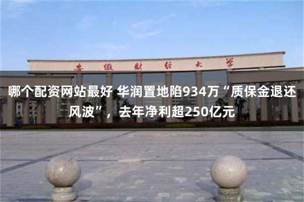 哪个配资网站最好 华润置地陷934万“质保金退还风波”，去年净利超250亿元