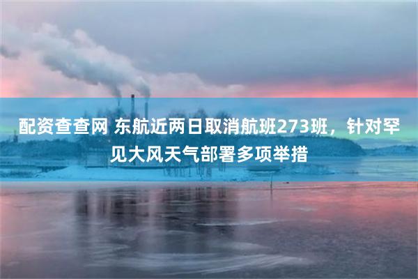 配资查查网 东航近两日取消航班273班，针对罕见大风天气部署多项举措