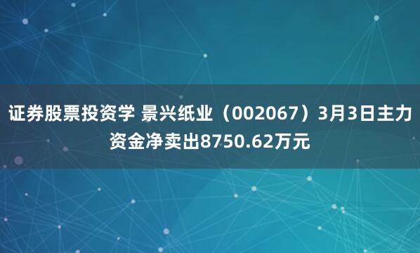 证券股票投资学 景兴纸业（002067）3月3日主力资金净卖出8750.62万元