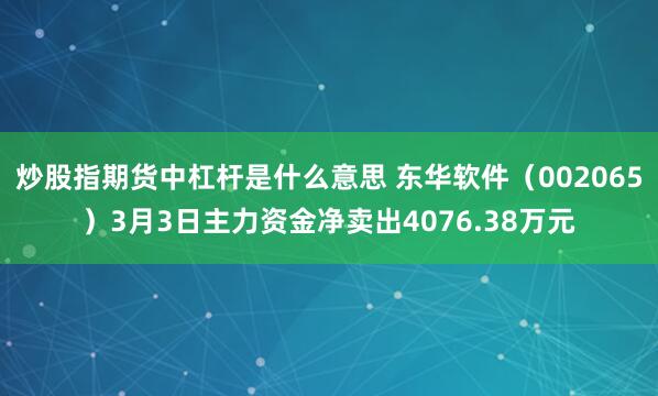炒股指期货中杠杆是什么意思 东华软件（002065）3月3日主力资金净卖出4076.38万元