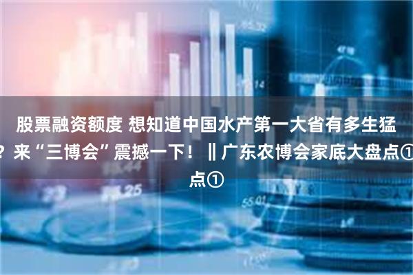 股票融资额度 想知道中国水产第一大省有多生猛？来“三博会”震撼一下！‖广东农博会家底大盘点①