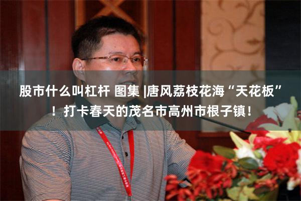 股市什么叫杠杆 图集 |唐风荔枝花海“天花板”!打卡春天的茂名市高州市根子镇!