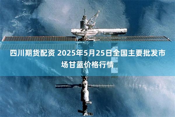 四川期货配资 2025年5月25日全国主要批发市场甘蓝价格行情