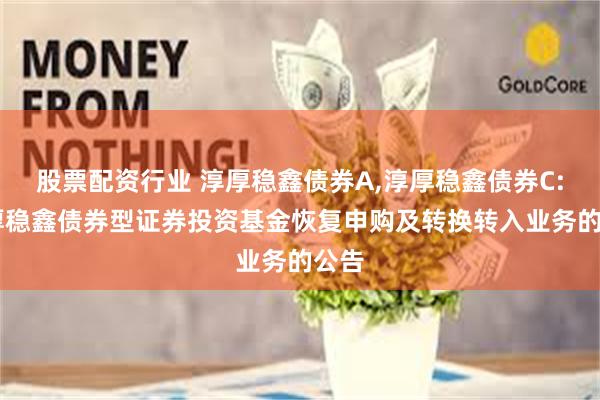股票配资行业 淳厚稳鑫债券A,淳厚稳鑫债券C: 淳厚稳鑫债券型证券投资基金恢复申购及转换转入业务的公告