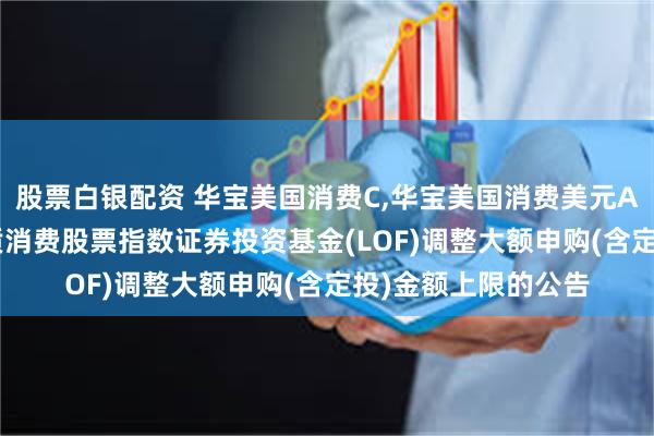 股票白银配资 华宝美国消费C,华宝美国消费美元A: 华宝标普美国品质消费股票指数证券投资基金(LOF)调整大额申购(含定投)金额上限的公告