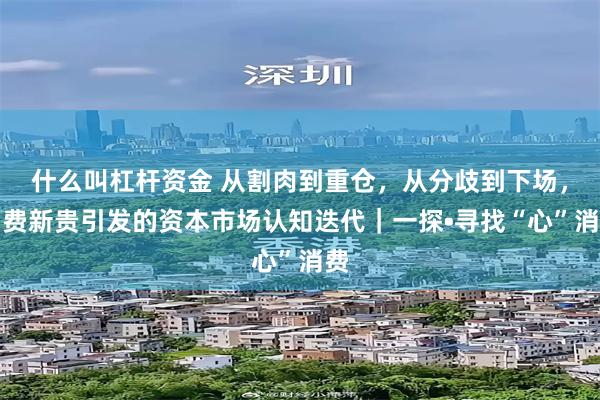 什么叫杠杆资金 从割肉到重仓，从分歧到下场，消费新贵引发的资本市场认知迭代｜一探•寻找“心”消费