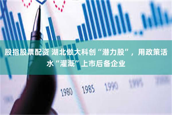 股指股票配资 湖北做大科创“潜力股”，用政策活水“灌溉”上市后备企业