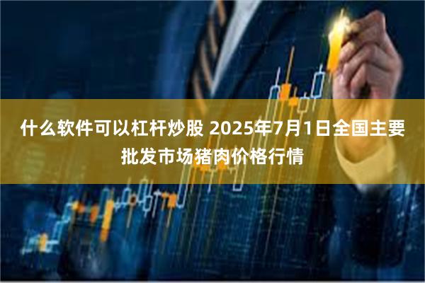 什么软件可以杠杆炒股 2025年7月1日全国主要批发市场猪肉价格行情