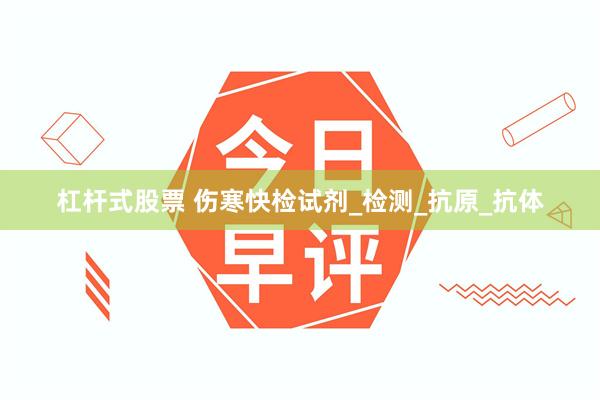 杠杆式股票 伤寒快检试剂_检测_抗原_抗体