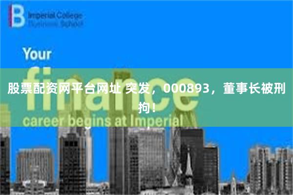 股票配资网平台网址 突发，000893，董事长被刑拘！