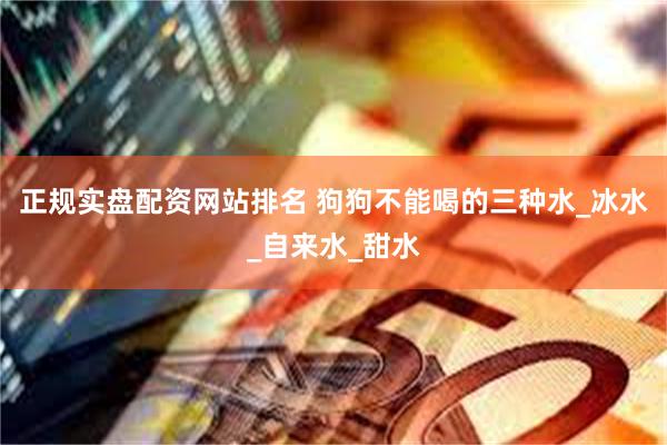 正规实盘配资网站排名 狗狗不能喝的三种水_冰水_自来水_甜水