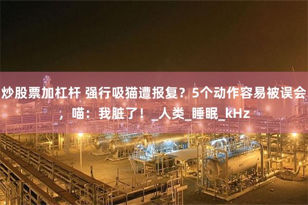 炒股票加杠杆 强行吸猫遭报复？5个动作容易被误会，喵：我脏了！_人类_睡眠_kHz