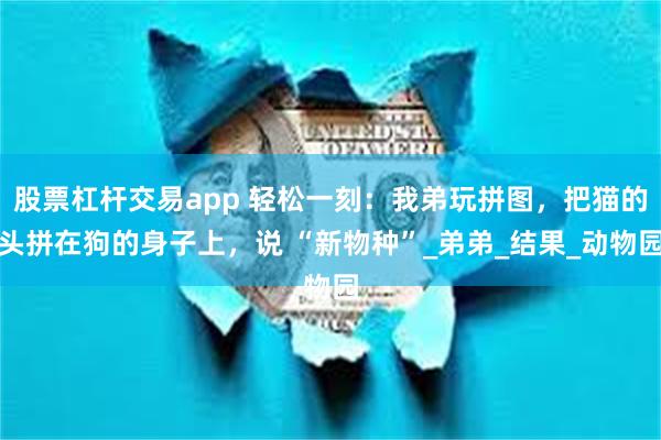 股票杠杆交易app 轻松一刻：我弟玩拼图，把猫的头拼在狗的身子上，说 “新物种”_弟弟_结果_动物园