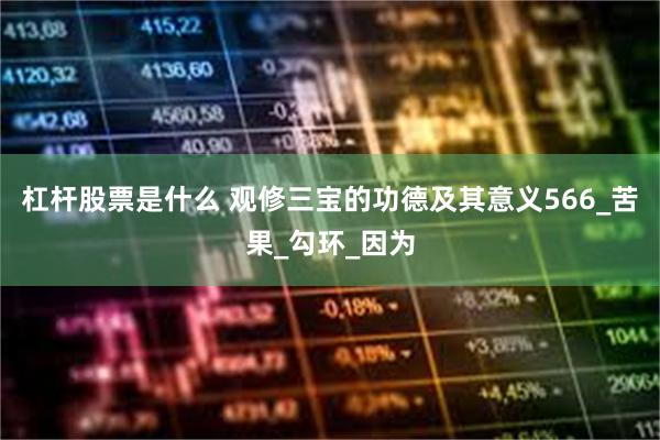杠杆股票是什么 观修三宝的功德及其意义566_苦果_勾环_因为