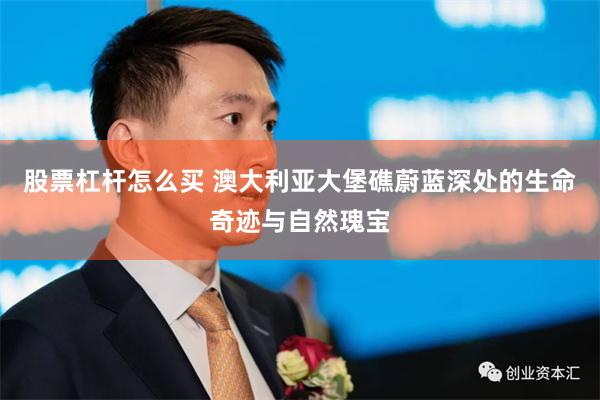 股票杠杆怎么买 澳大利亚大堡礁蔚蓝深处的生命奇迹与自然瑰宝
